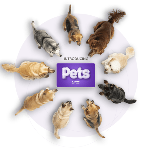 pets-choice-card-homepage-carousel-image