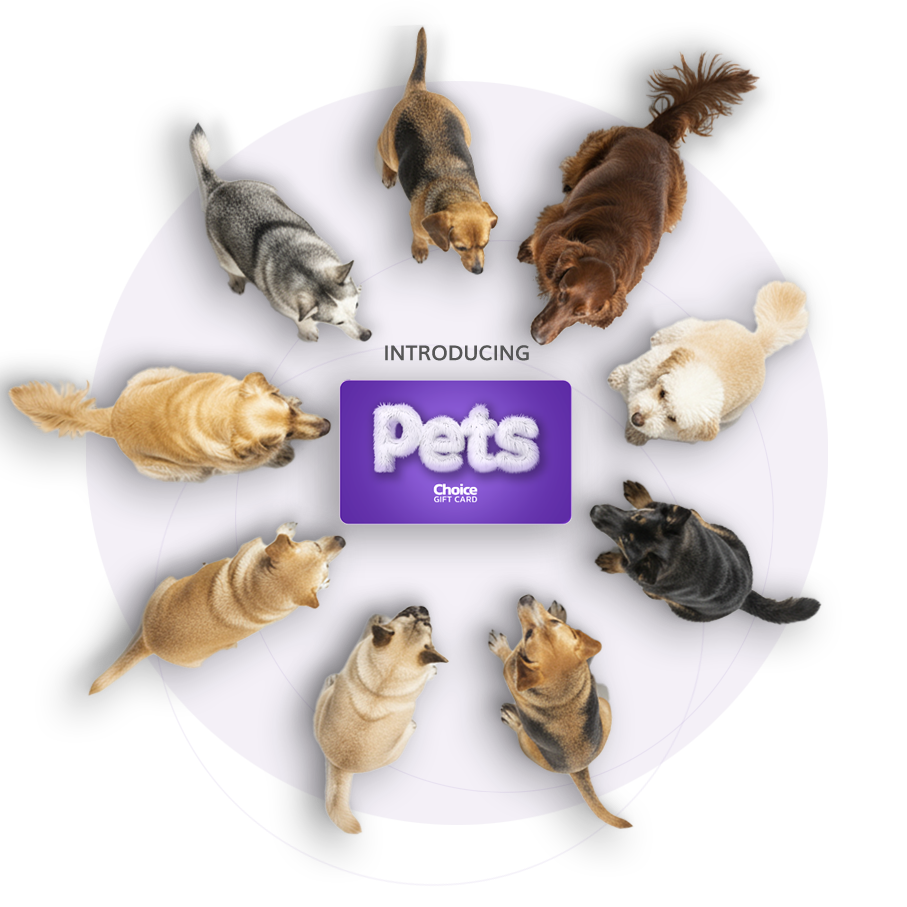 pets-choice-card-homepage-carousel-image