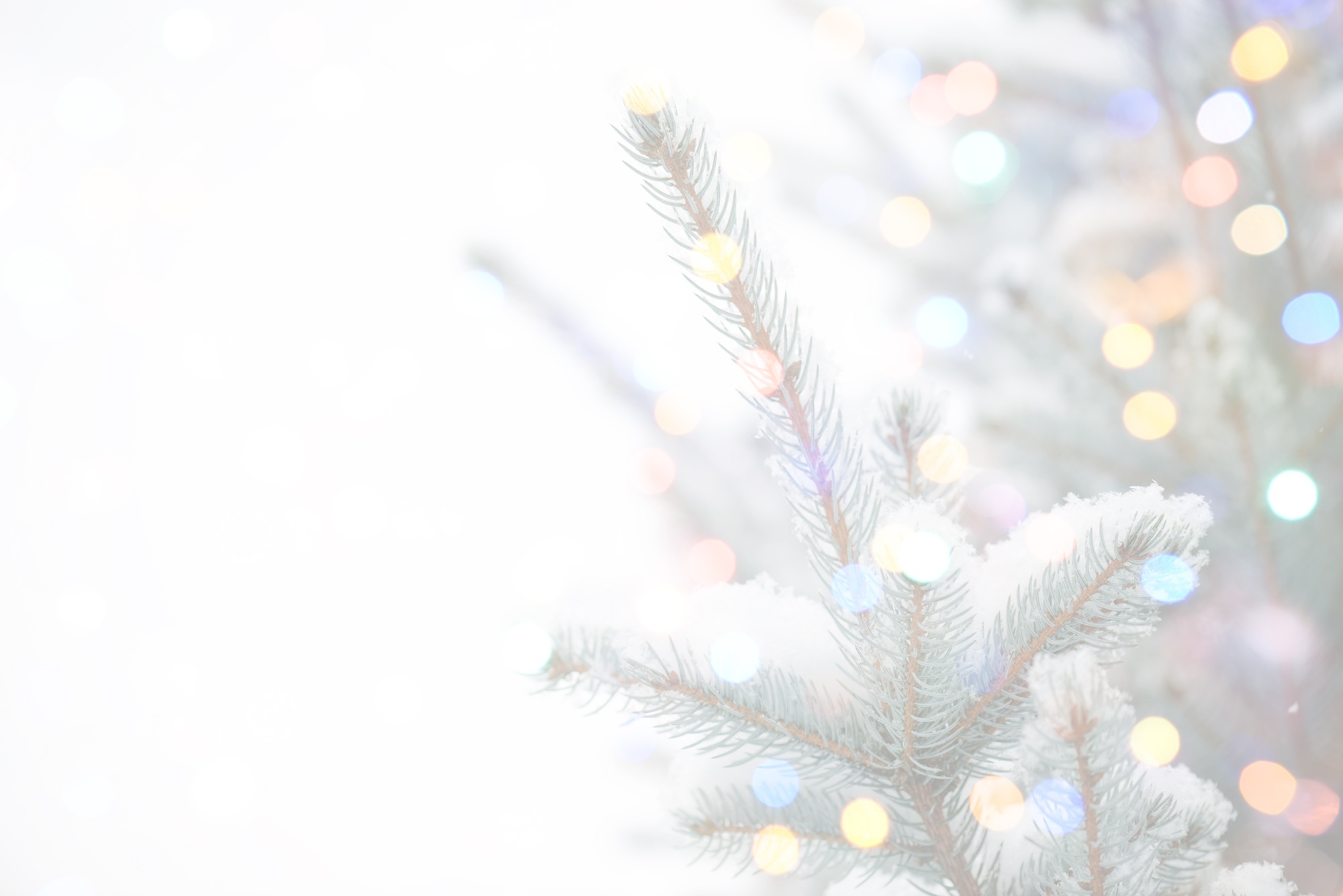 holiday background 2018 full size.jpg