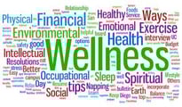 company wellness programs