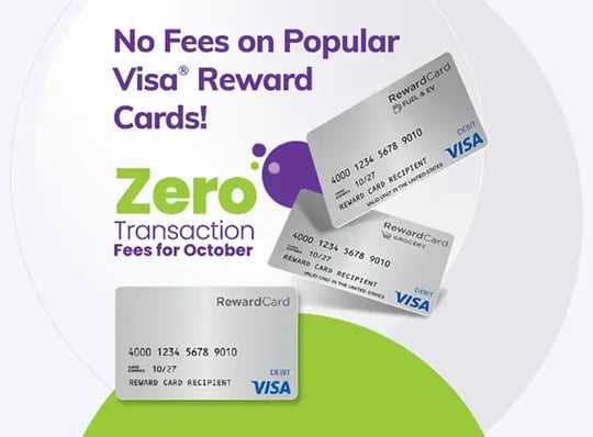 visa-zero-fee-homepage-carousel2