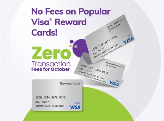 visa-zero-fee-homepage-carousel2
