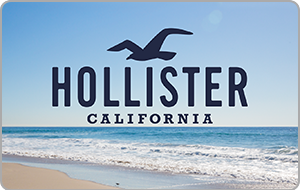 HOLLISTER_fp01