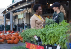 Whole Foods Locations to Increase